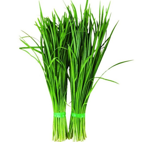 韭菜炒鸡胗