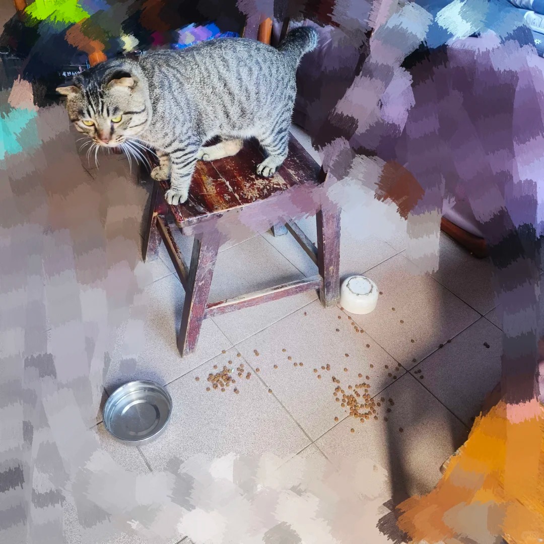 怎么教啊 最近一发脾气就喜欢打翻东西
昨天发脾气已经打翻猫砂盆了
最近吃饭如果没