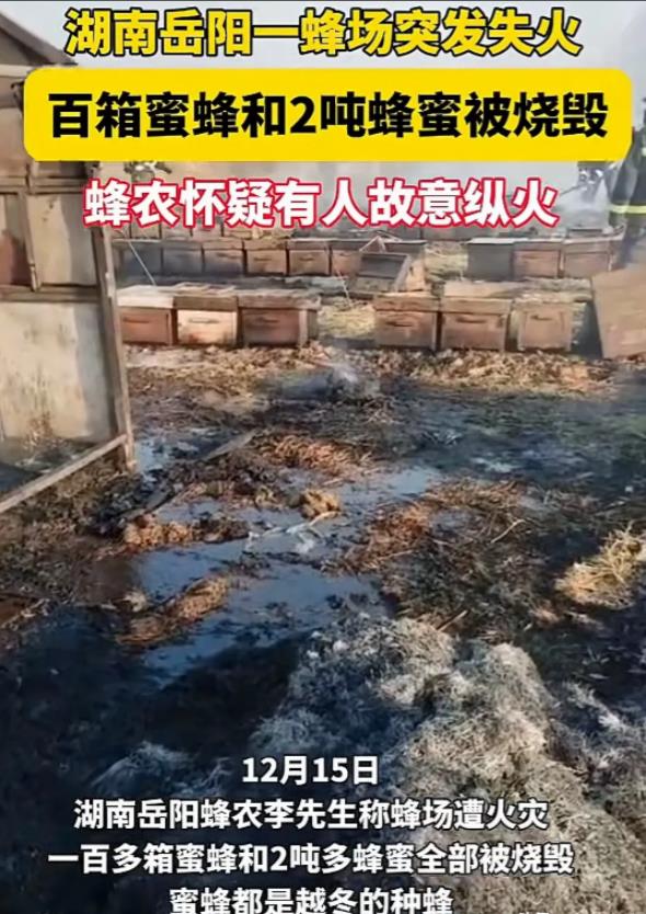 湖南岳阳，一场突如其来的火灾让蜂农陷入了绝望，100箱的蜜蜂和2吨蜂蜜以及全套蜂