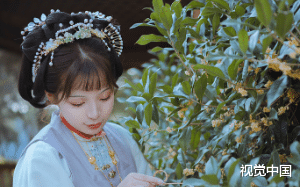 飞升是个劫，能渡则渡，否则再渡