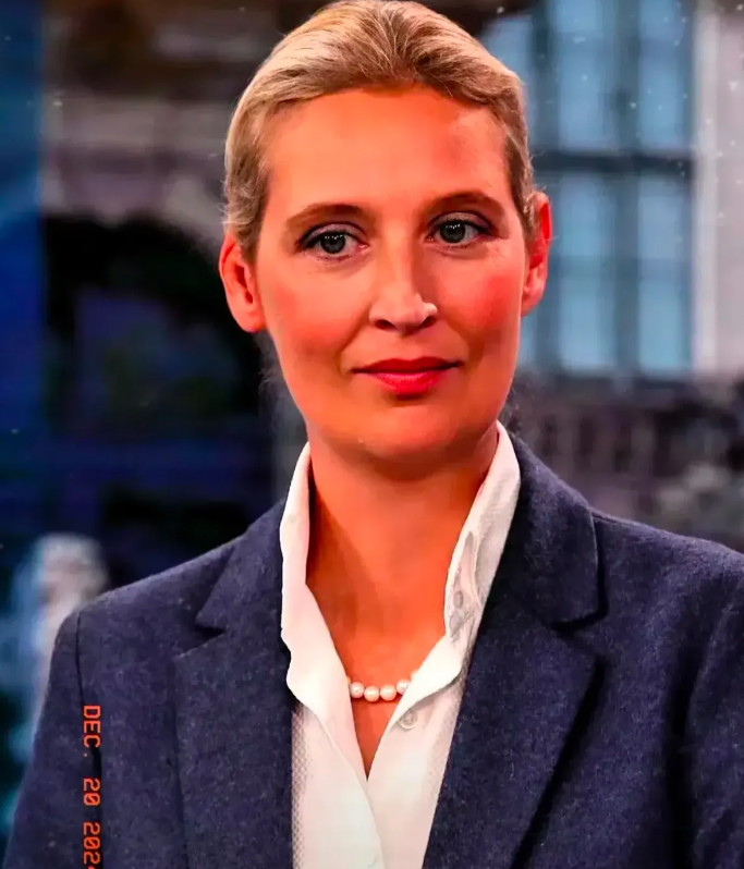 梅尔茨炮火全开，魏德尔“逆袭”成功。又一颗“炸弹”在德国政坛引爆！在德国选择党（