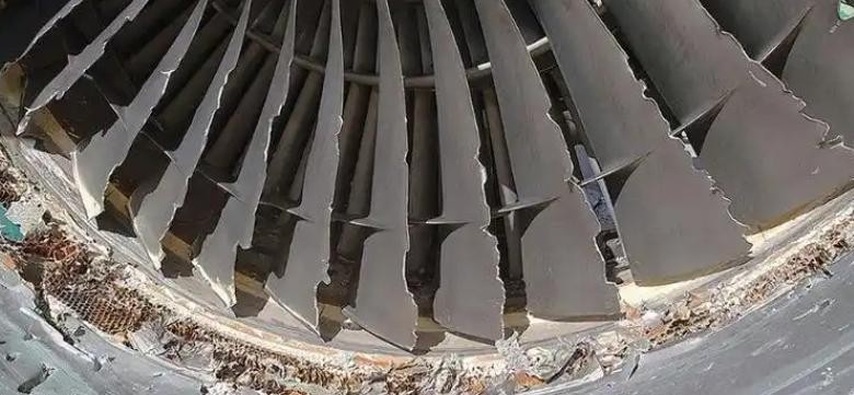 在航空旅行中，鸟击事件虽然不常发生，但其潜在的危险性让人不容忽视。一些人提出，能