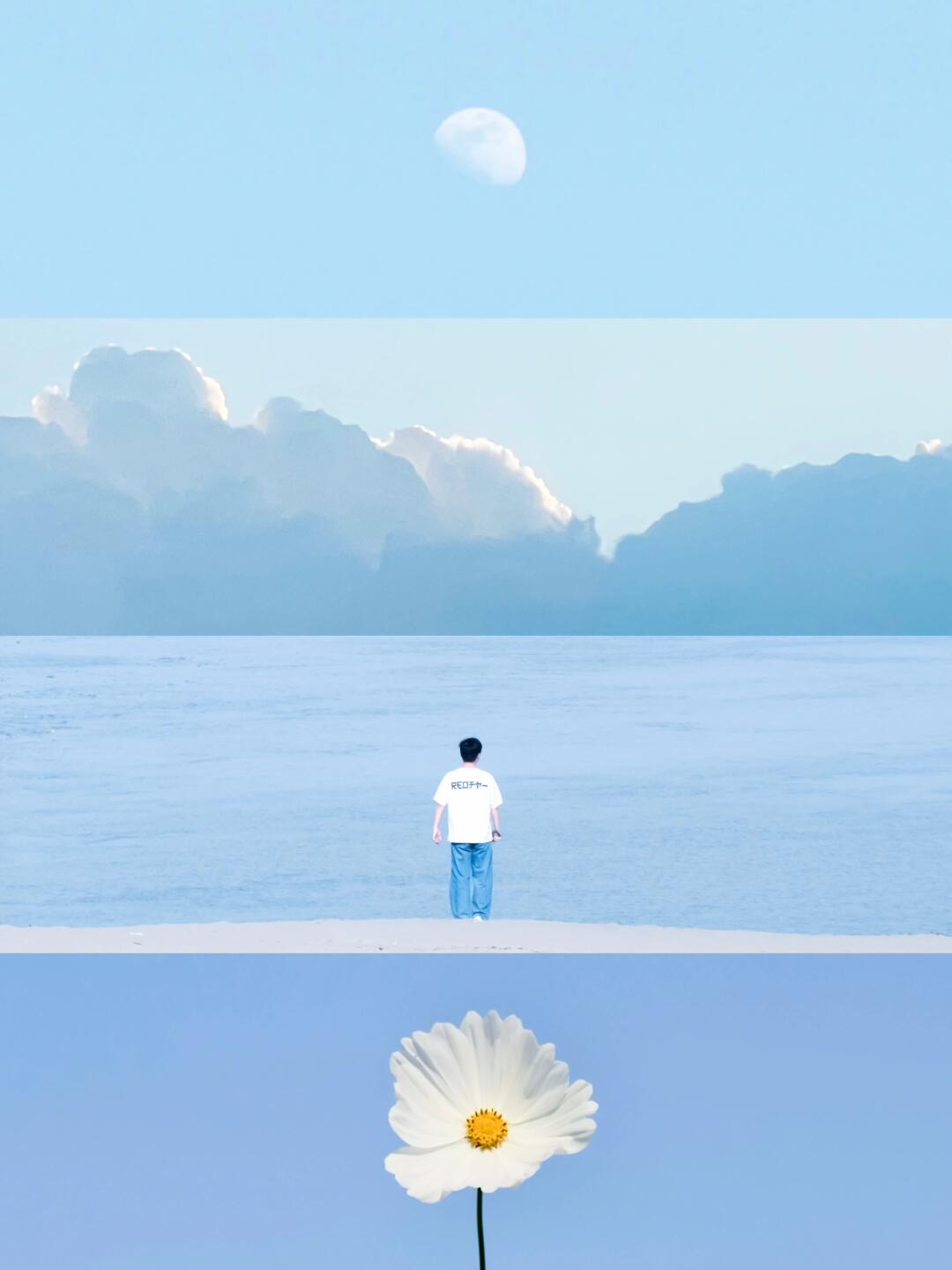 想要一个全是蓝色的评论区