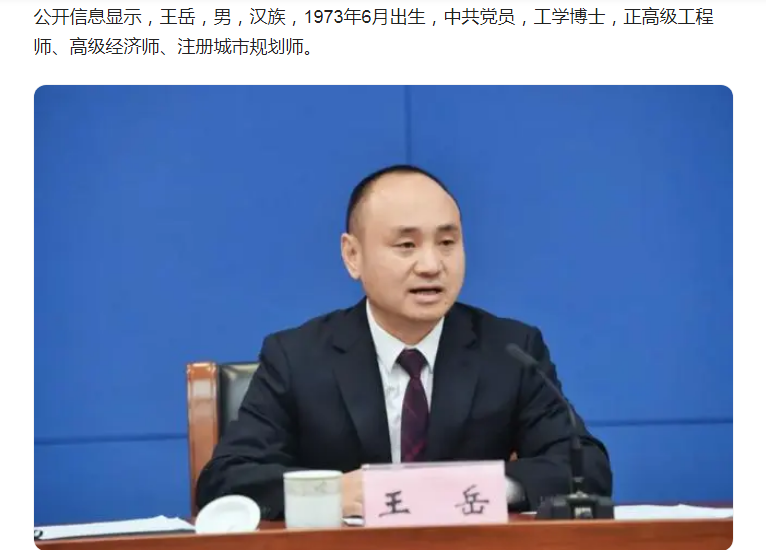中纪委消息，王岳被查