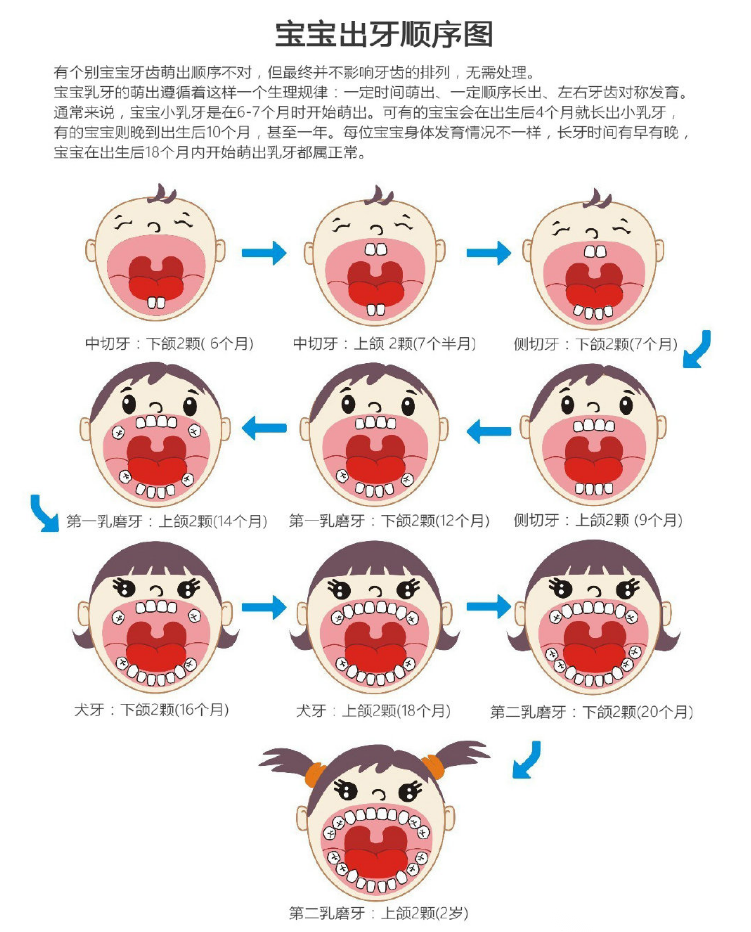 宝宝出生后什么会后开始长乳牙呢？