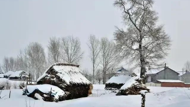后天入四九，“不怕四九雪，就怕四九晴”，四九晴天有啥好怕的？