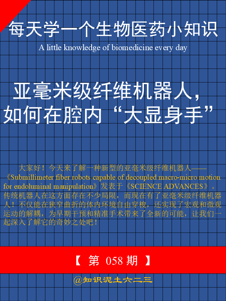 	大家好！今天来了解一种新型的亚毫米级纤维机器人——《Submillimeter