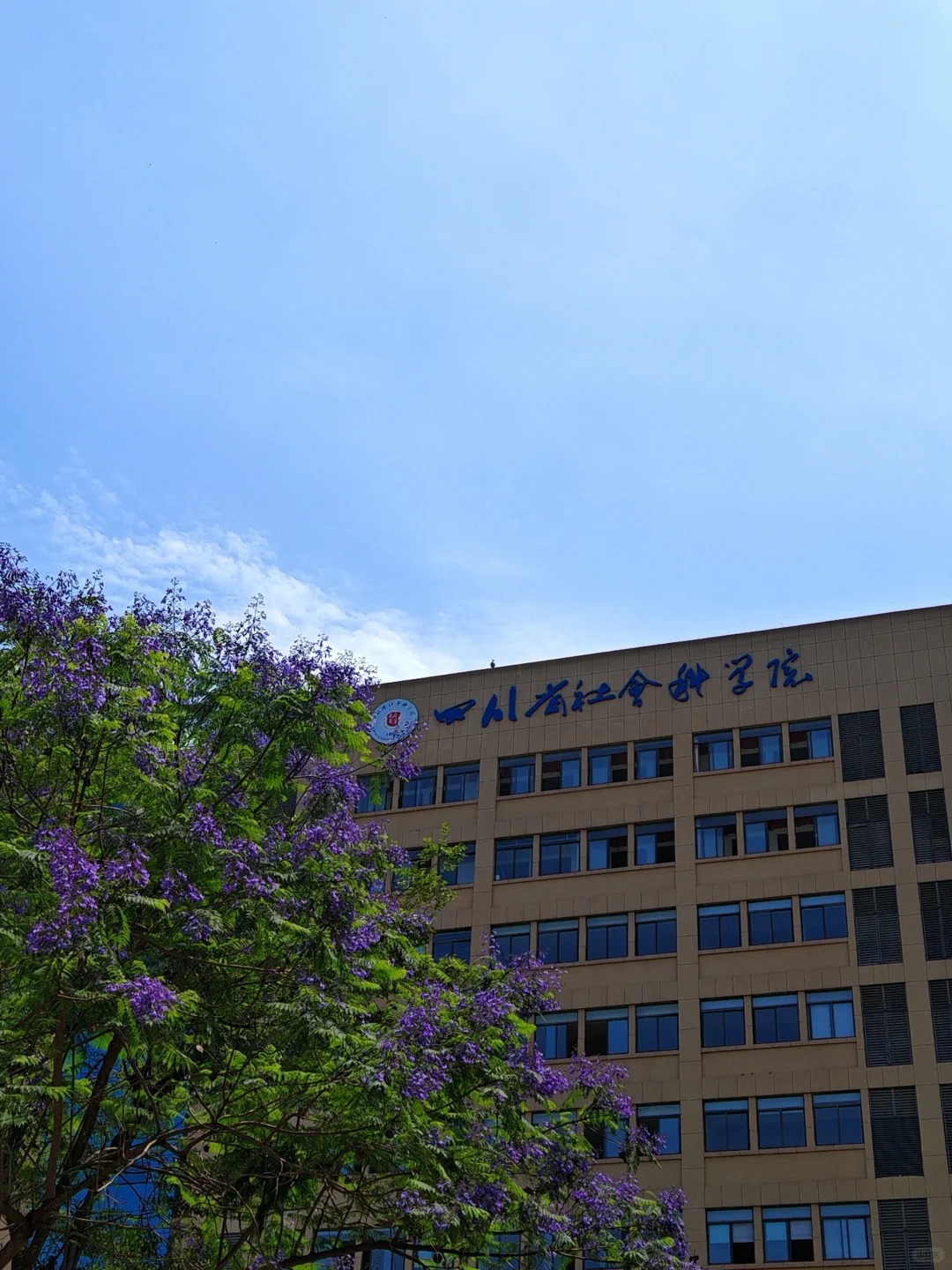 和社科院、石油大学联谊
和社科院联谊，学校专门组织了车一起过去。 现在研究生都搬
