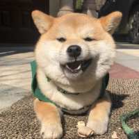 琴瑟和谐共白头