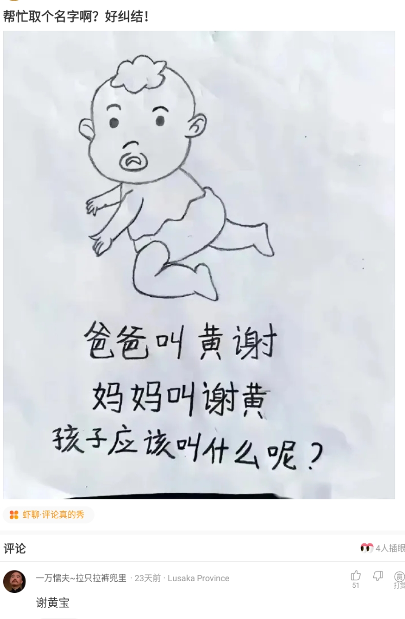 “真的好纠结，大家帮忙取个名字吧？”神评论的名字真好听，哈哈哈