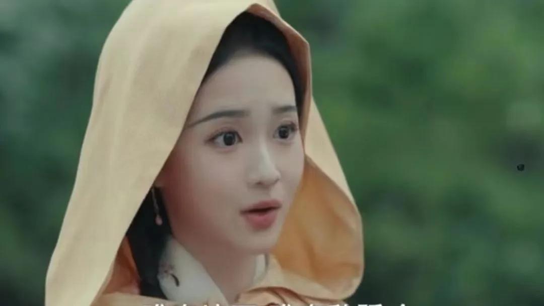 《九重紫》：所有人以为害死窦明的是机关算尽的王映雪，看了魏庭瑜为护窦明的画像而死，才明白，真正凶手另