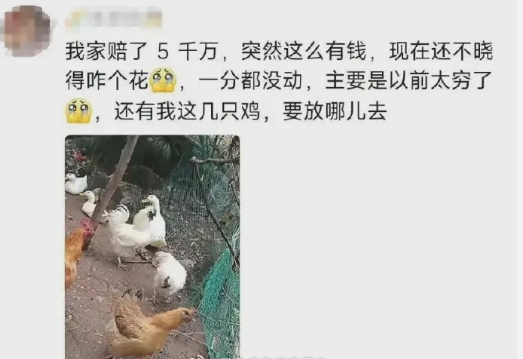 知道这些暴富都是假的我就放心了