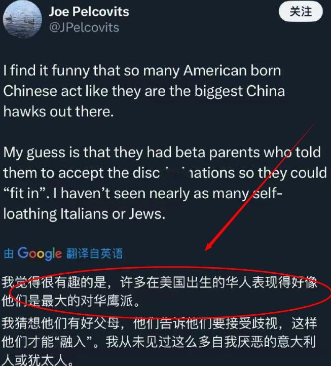 美国网友吐槽：“在美国出生的华裔，个个像最激进的对华鹰派。”这样的言论让人不禁好