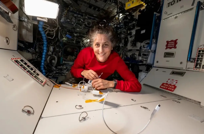 美国是没能力带太空两个宇航员下来么？不，美国有这能力，前不久马斯克的龙飞船还去对