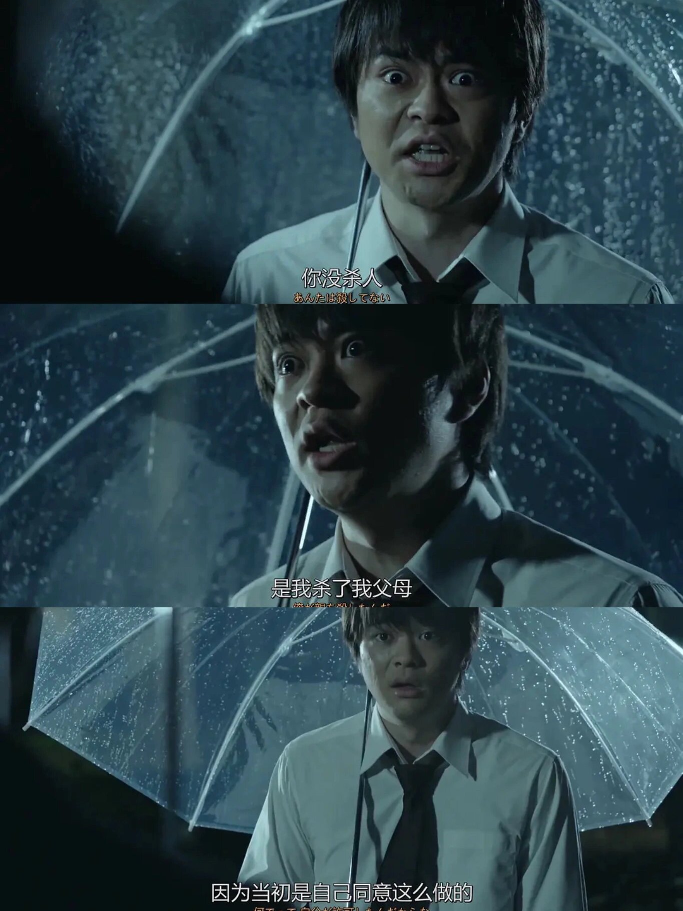 鲨疯了,一集一案‼️无限反转