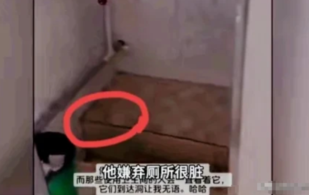 要不是去过西班牙还以为西班牙多干净多好呢，遍地尿骚味，一瓶500ml可乐就卖两欧