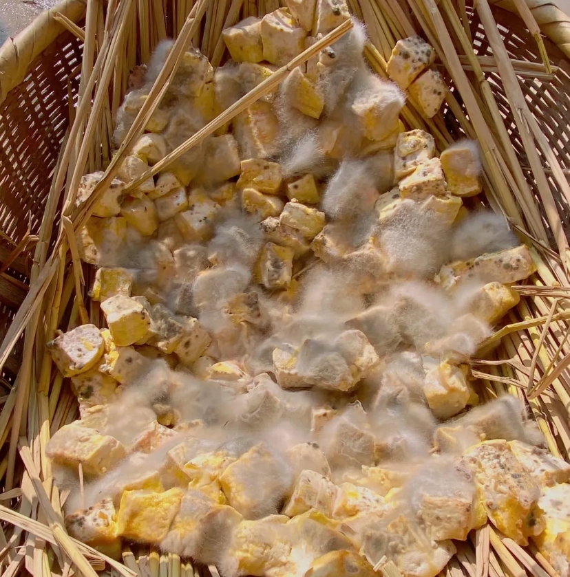 每次回娘家，心心念念的就是老妈做的豆腐乳。老妈做豆腐乳可有一套。她先把豆腐买回来