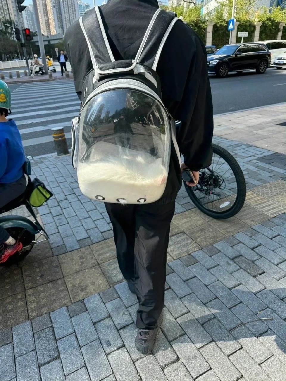 前面的兄弟，你的猫好像化了
你们的猫是什么样子的