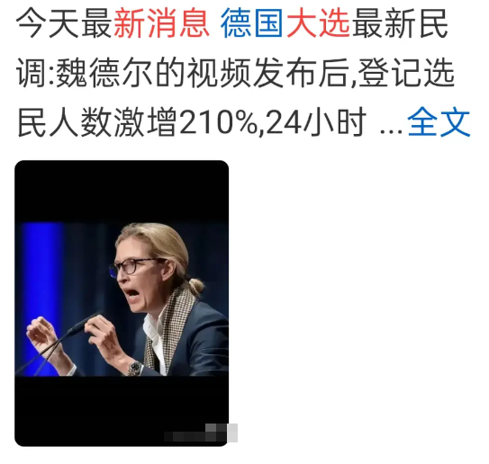 德国大选最新消息，在网上搜这样的消息，结果全是威德尔，很多人在网上表示投威德尔一