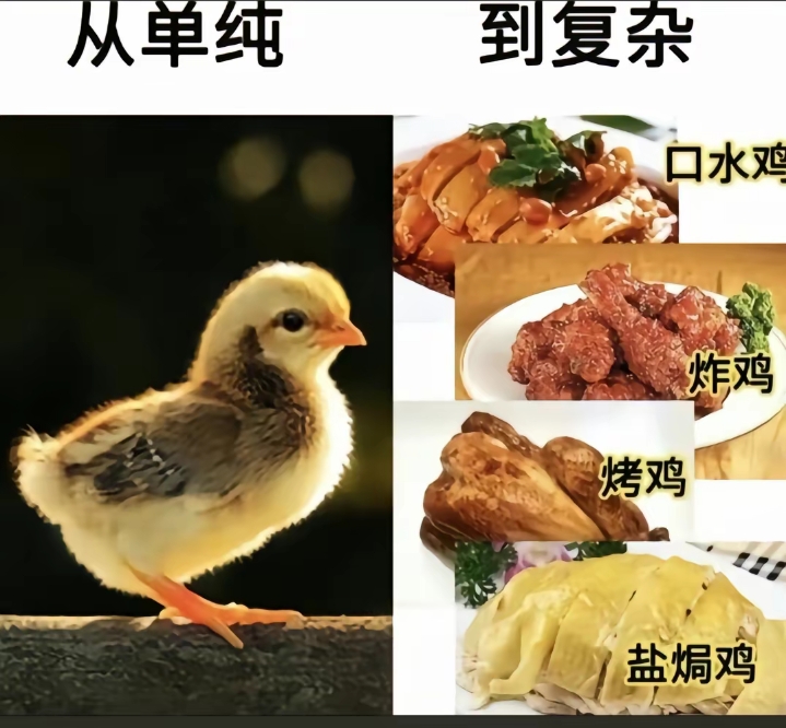 从单纯到复杂的过程