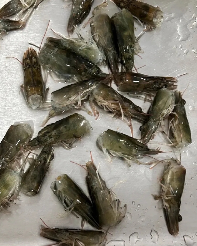 怎么会有这样的婆婆，真是要被气死了。
孩子晚上腿老是抽筋，体检说是缺钙，医生建议