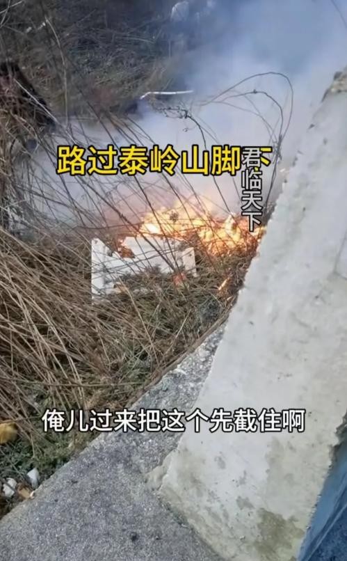中国游客秦岭灭火，美国大火烧不停

                      