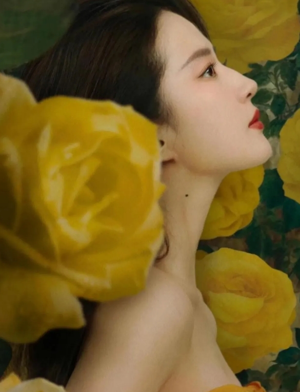 仙女姐姐刘亦菲回顾了自己的成年三部曲：《梦华录》《去有风的地方》《玫瑰的故事》。