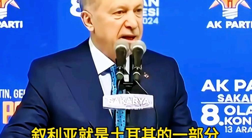 土耳其总统埃尔多安称，西方国家，主要是美国，需要在为时已晚之前制止以色列在叙利亚