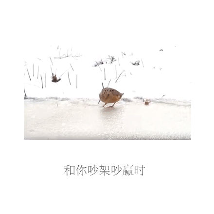 分享几个女朋友的日常