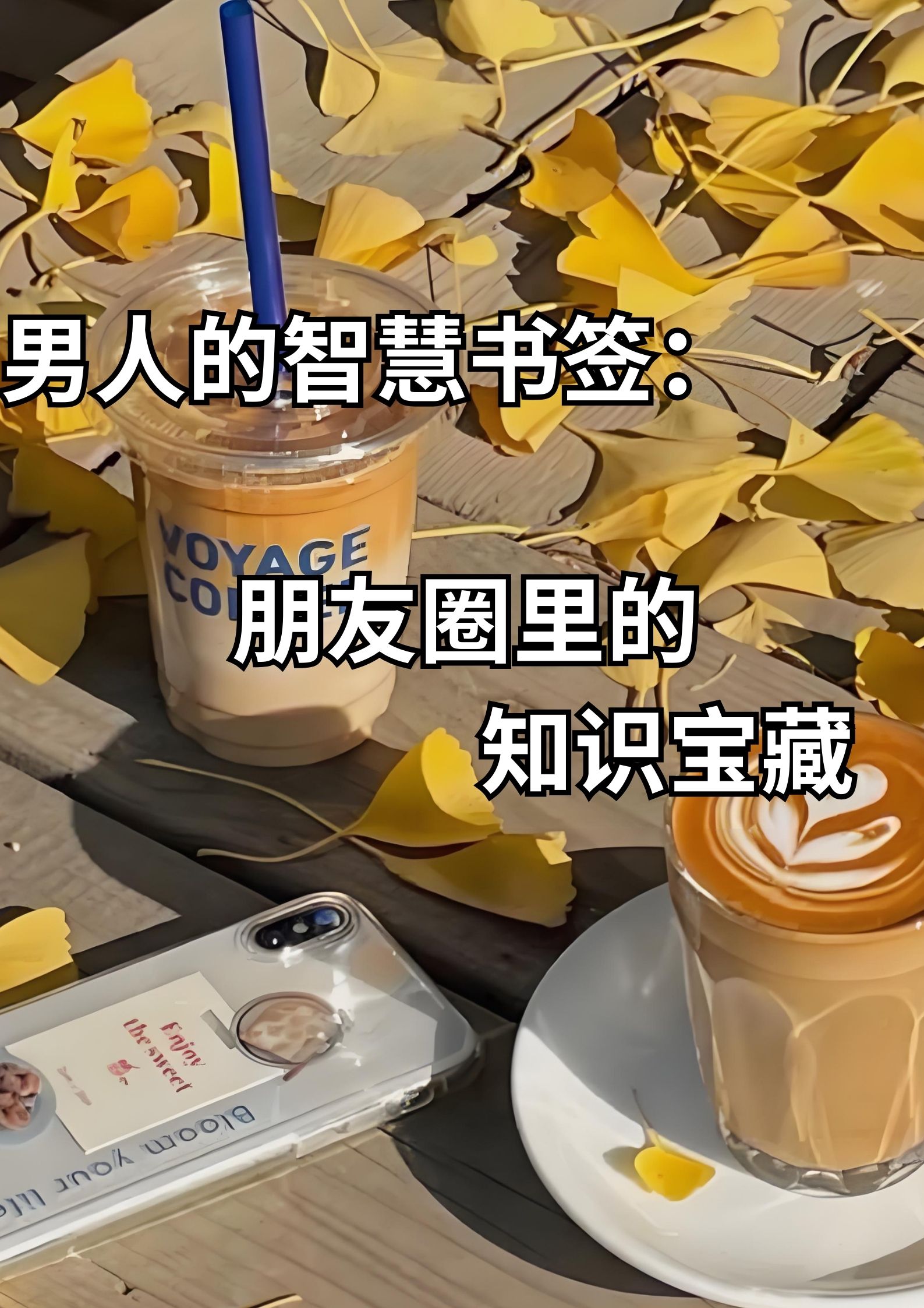男人的智慧书签：朋友圈里的知识宝库！