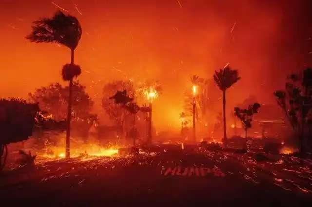 同样是山火，没有对比就没有伤害，洛杉矶山火VS重庆山火！