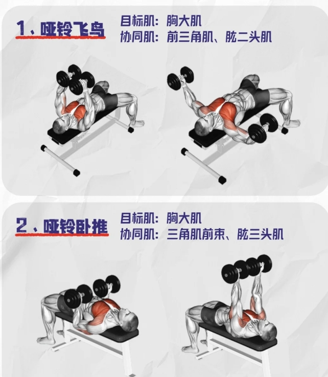 哑铃要怎么练？