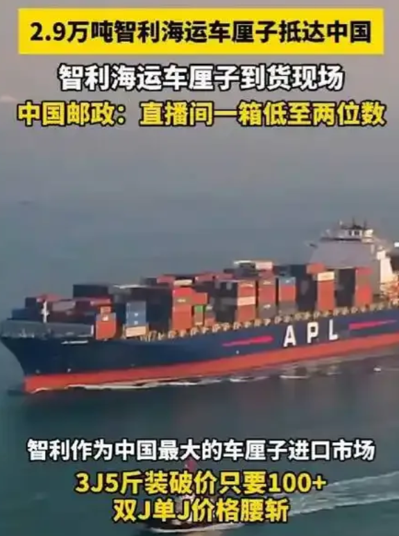 智利这次可真是运气爆棚，接住了“泼天的富贵”。他们大刀阔斧，把国内 92%的车厘
