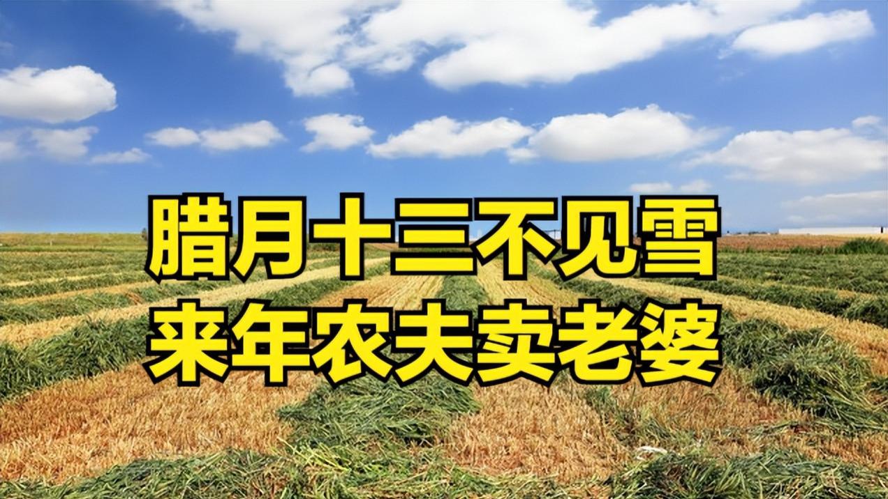 “腊月十三不见雪，来年农夫卖老婆”，今日腊月十三，有啥预兆？