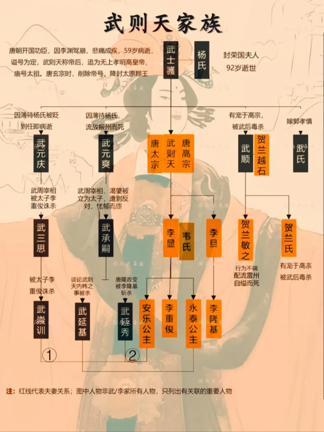 武则天家族谱。

