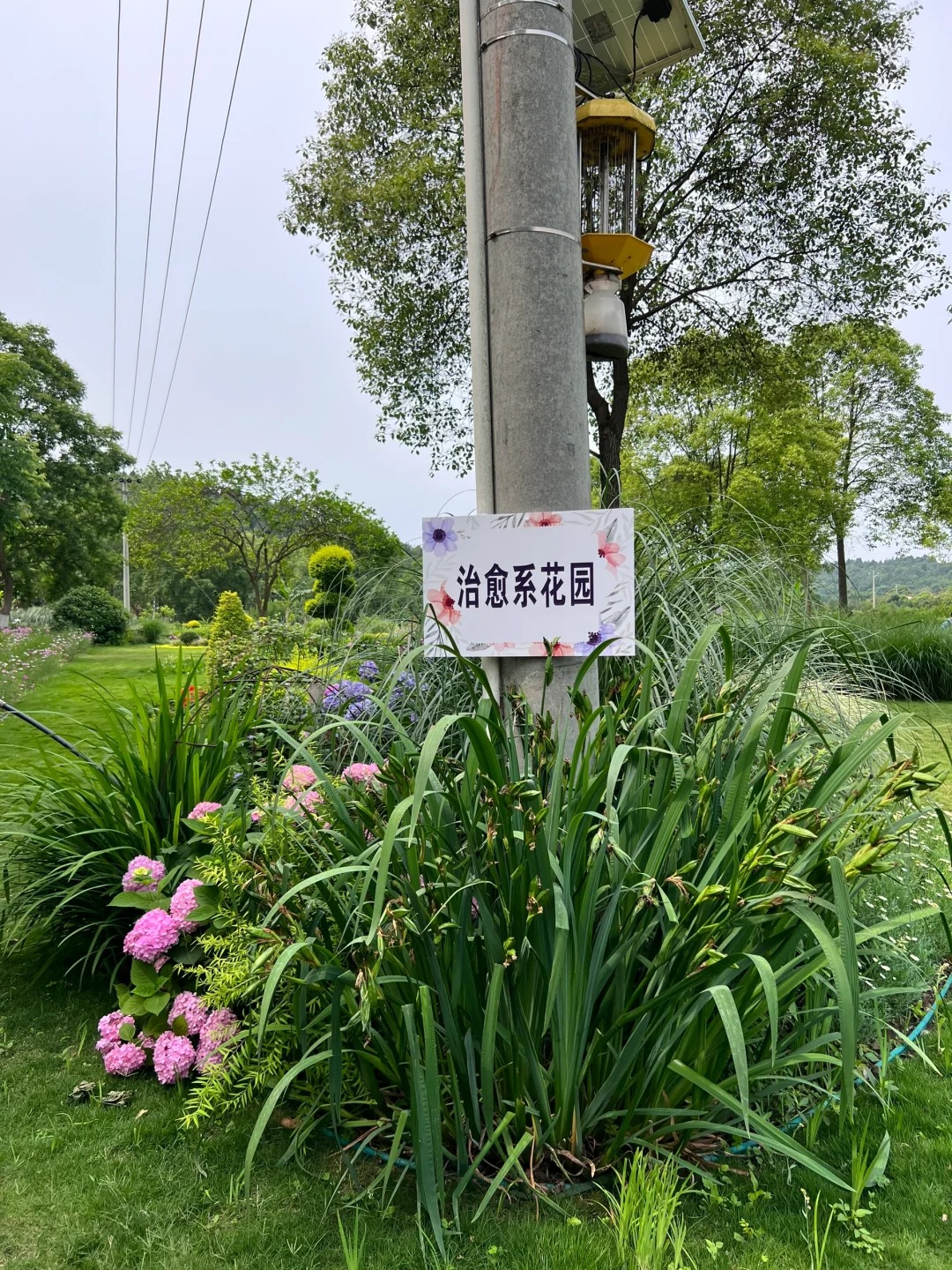 在绵阳！！莫奈花园～