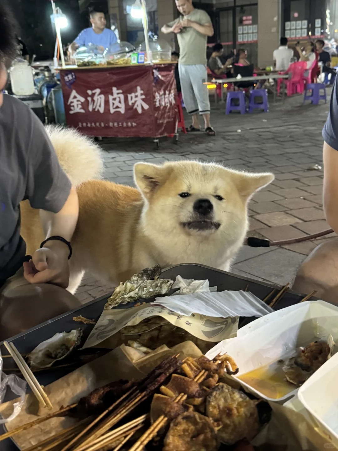 狗子：我也要撸串
让我吃一口！！！