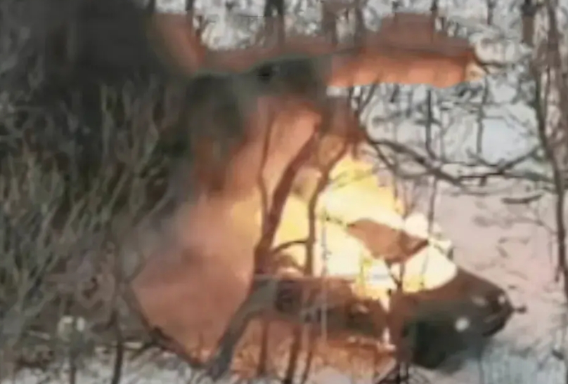 俄罗斯的库尔斯克的大雪下的非常大，茫茫一片。俄罗斯的无人机在侦查时发现后方一辆S