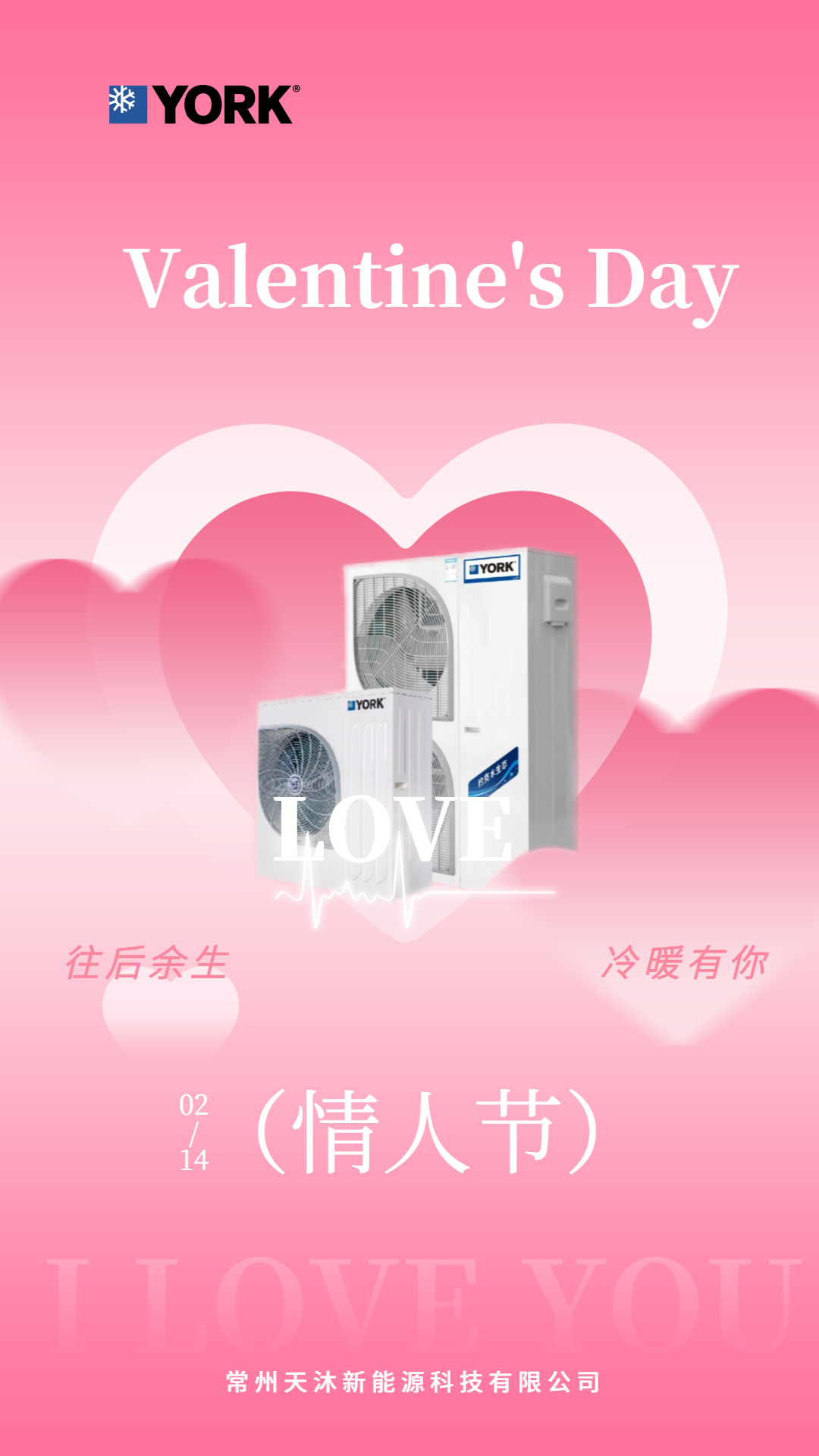 身沐柔风，一眼心动｜和YORK好风度过每晚||生活是场奇遇记