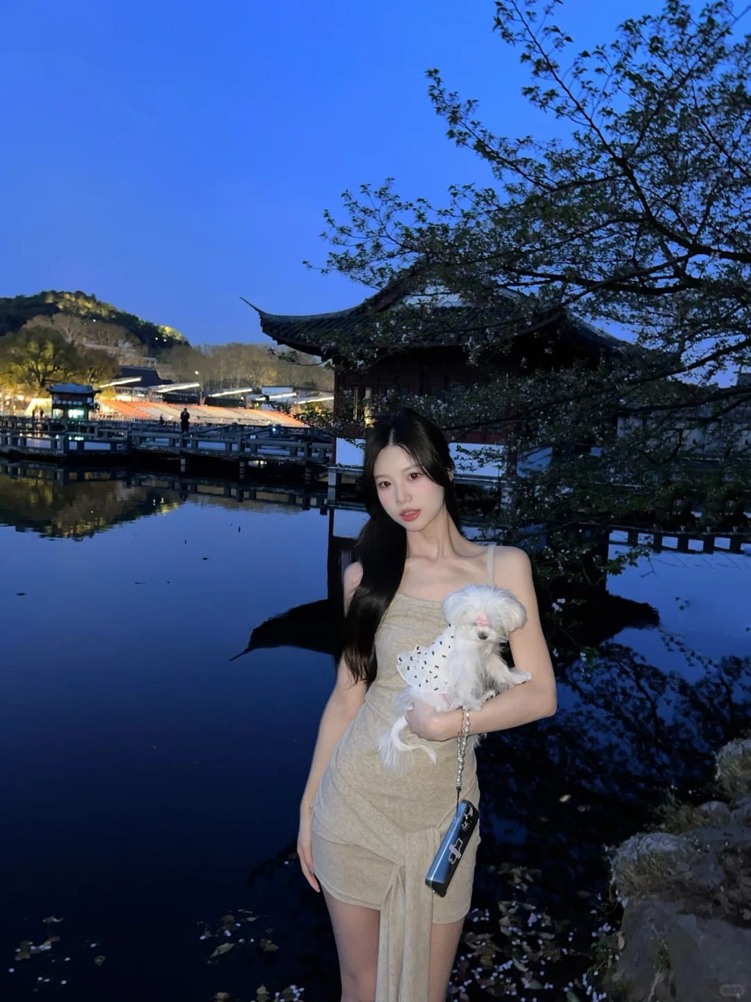 杭州｜曲院风荷樱花
已经掉了蛮多的
配着后面的小房子有日本小京都的感觉
定位到曲