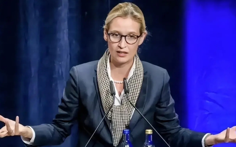 魏德尔质问德国总理朔尔茨：德国人民都失业了，你支持乌克兰有什么好处？是要把德国人