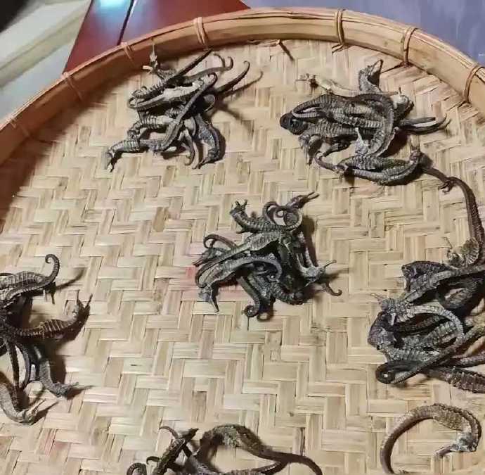 山东，一男子收到南方朋友邮寄过来的一箱特产，打开箱子查看时，瞬间懵了，请大家看下