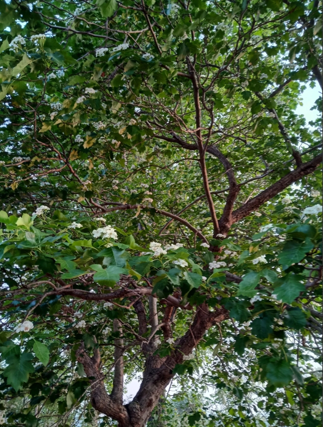 还有一天就是五一劳动节了。

我估计五一那天又是在工作岗位上度过。

对打工人来