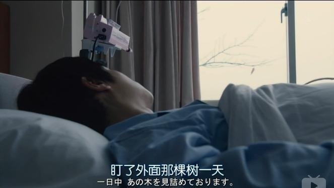 为何要这样对我