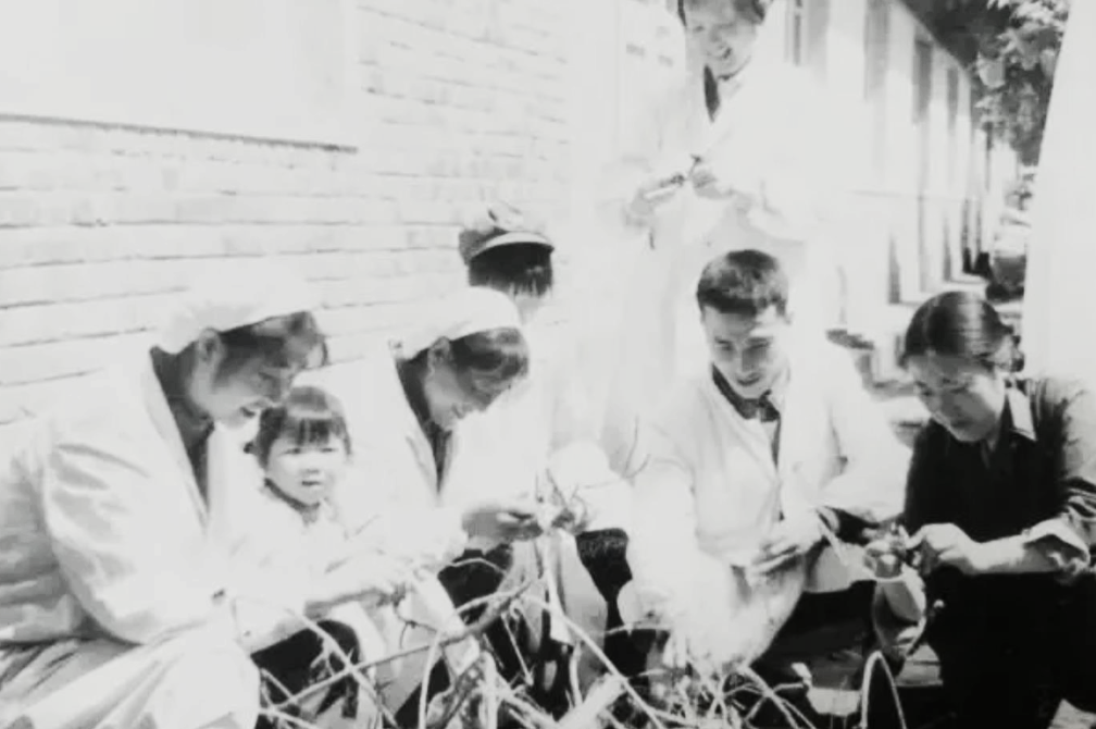 上世纪60年代的一天，毛家湾内传来一声惨叫，林防长的夫人高喊：“流血了，快喊医生