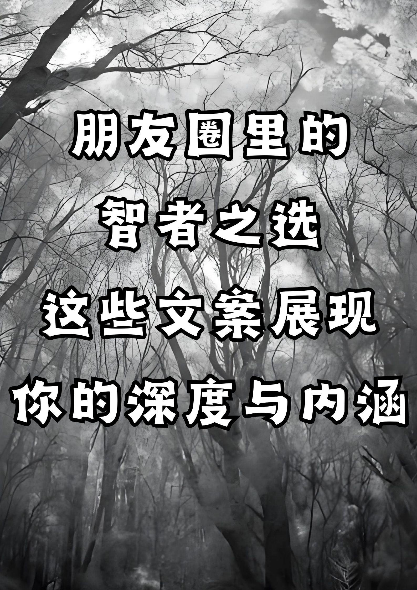 朋友圈里的智者之选，展显你的深度与内涵。