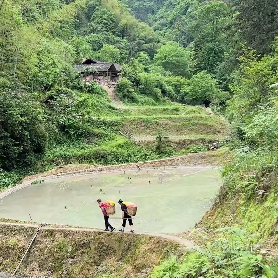 想不通老一辈为什么会搬到这样的地方住？