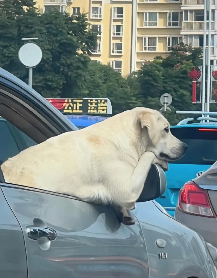 无意间看到了这一幕