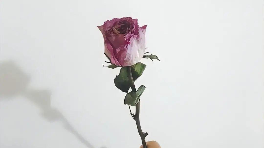 一个人经常把自己的旧衣服送给别人，大多难逃这几种宿命！