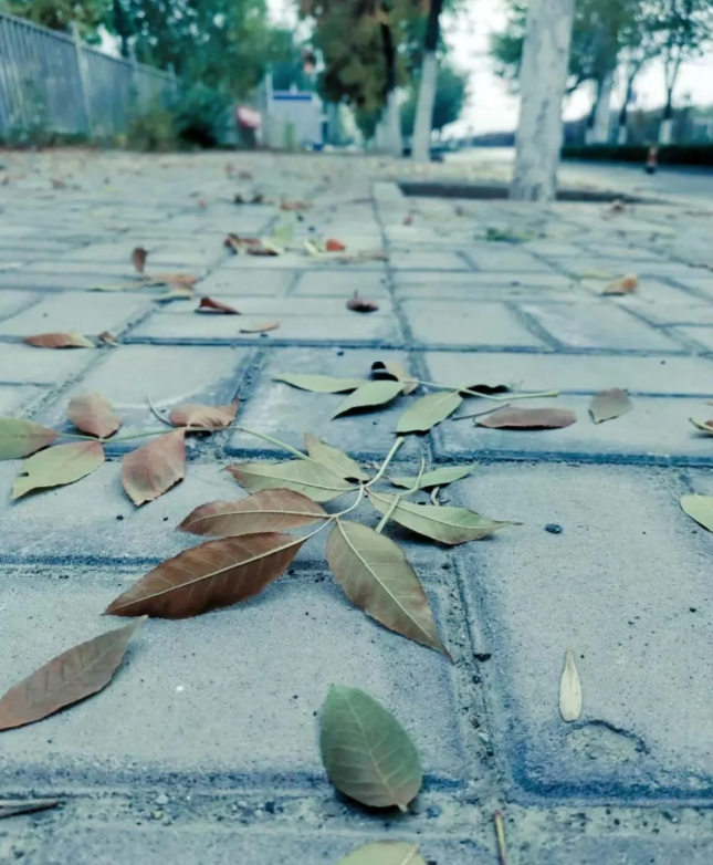 我朋友她在怀孕时候，她老公没有给过的一分钱，所以在她孩子十个月的时候，她独自去浙